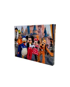 Canvas Prints