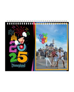 2025 Mickey 12 Month Calendar