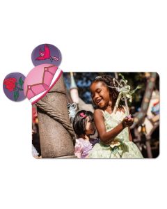Disney Aurora Mickey Ears Magnet