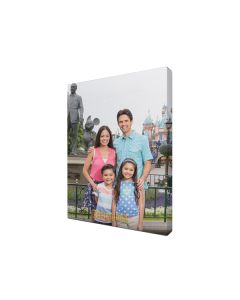 Disneyland Park Logo Customized Photo Canvas