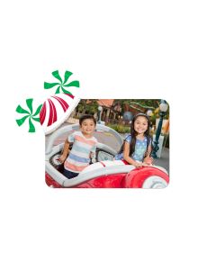 Peppermint Mickey Ears Custom Magnet